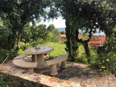 Appartement avec terrasse, jardin clos et vue mer à Collioure : photo 14