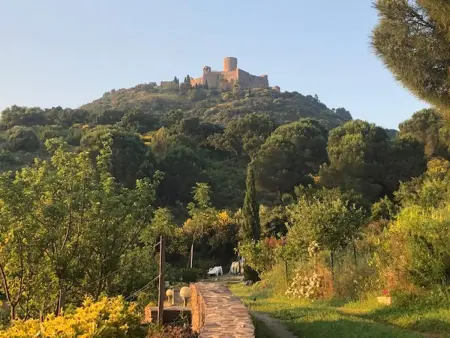 Appartement avec terrasse, jardin clos et vue mer à Collioure : photo 15