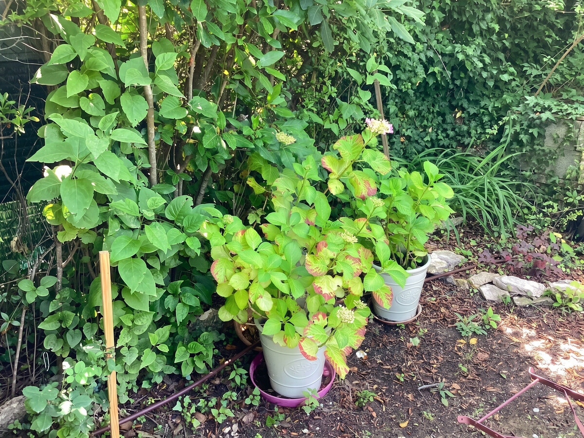 Maison 35 m² à Vachères, terrasse et jardin avec vue montagne - Photo 34
