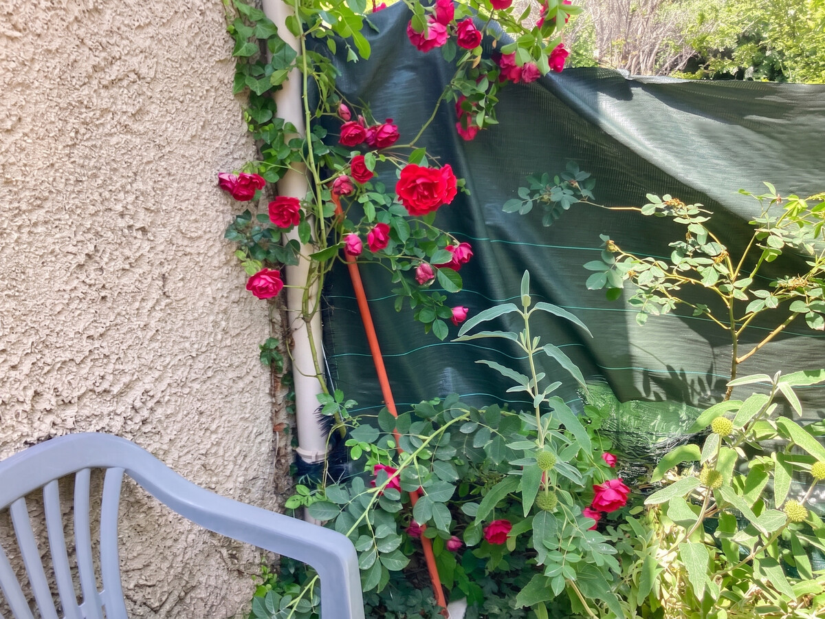Maison 35 m² à Vachères, terrasse et jardin avec vue montagne - Photo 45