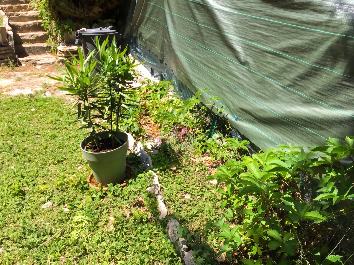 Maison 35 m² à Vachères, terrasse et jardin avec vue montagne - Photo 53