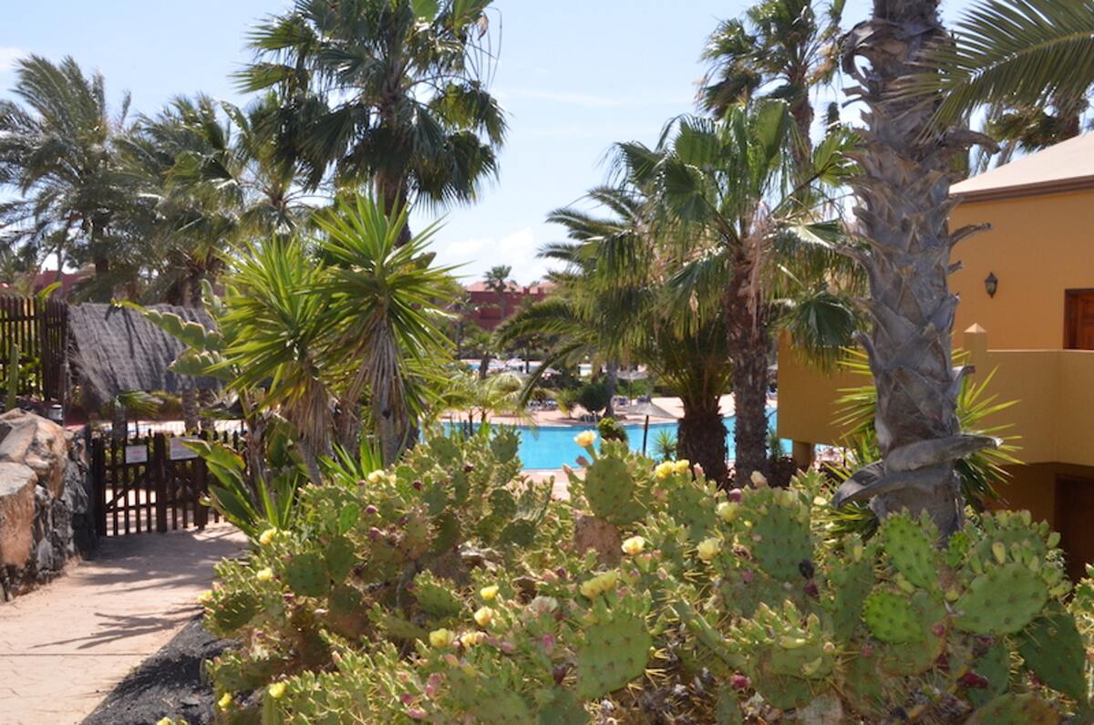 Appartement 4 personnes à Corralejo, piscine toute l'année - Photo 14