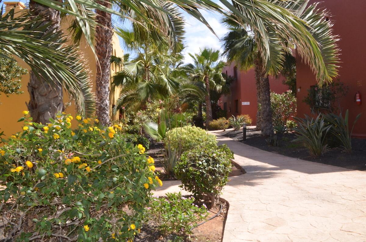 Appartement 4 personnes à Corralejo, piscine toute l'année - Photo 15