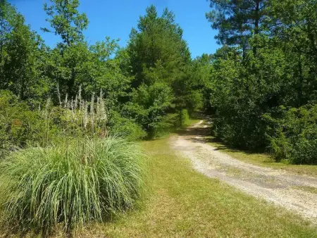 Maison de 80 m² avec jardin et pétanque à Les Junies : photo 11