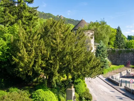 Studio cosy de 18 m² avec parking à Salins-les-Bains : photo 6