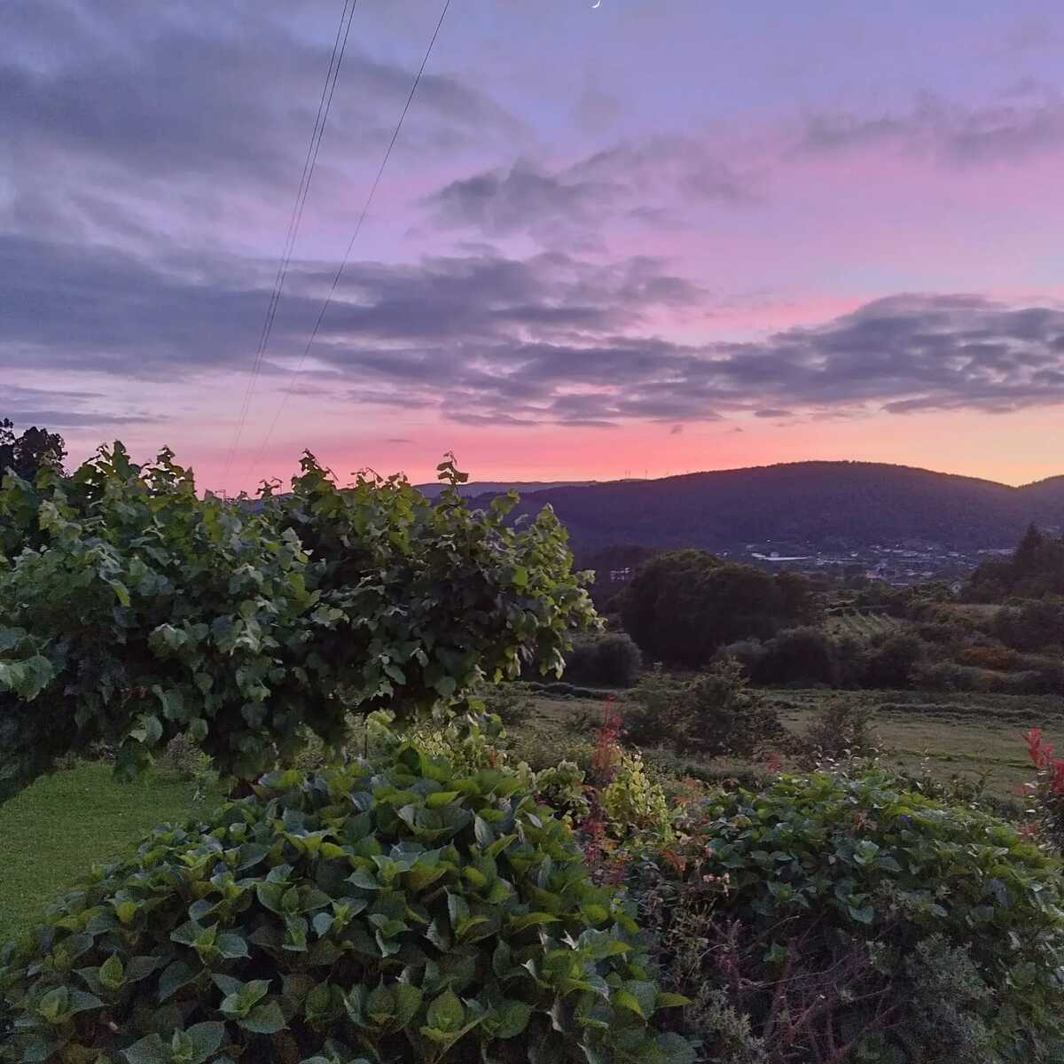 Villa 6 pers. avec piscine privée et vue montagne à Rubiães - Photo 28