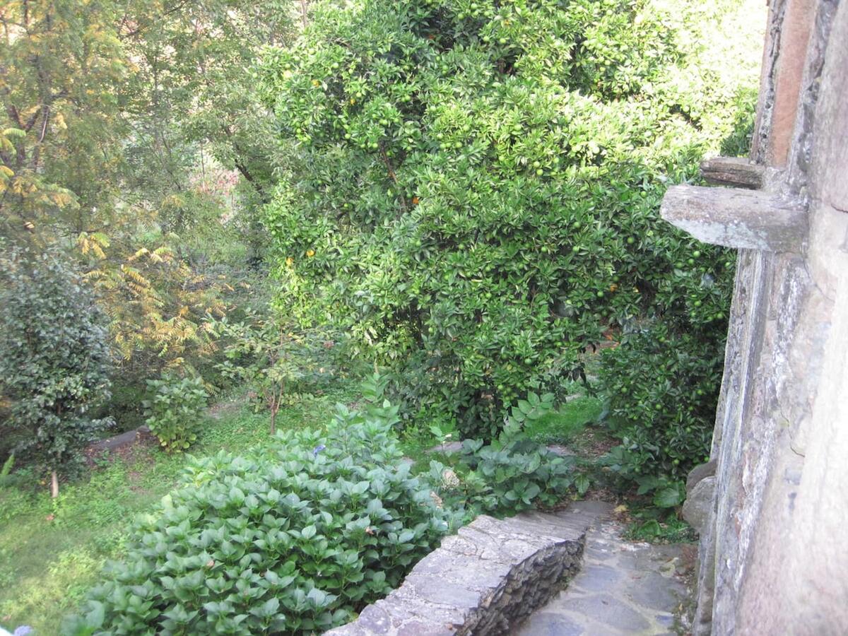 Maison 35 m² avec terrasse et barbecue à Amarante - Photo 53
