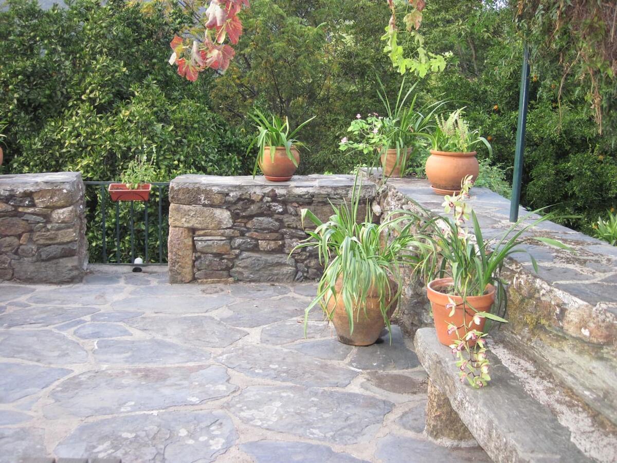 Maison 35 m² avec terrasse et barbecue à Amarante - Photo 56