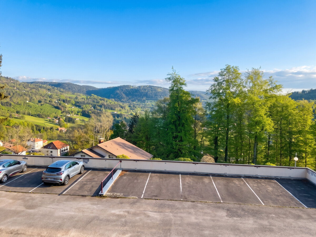 Appartement 31 m² vue montagne au Tholy, 2 chambres, parking - Photo 10