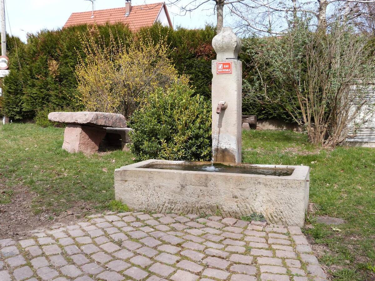 Maison de charme à Wuenheim, jardin clôturé et terrasse, 4 chambres - Photo 8