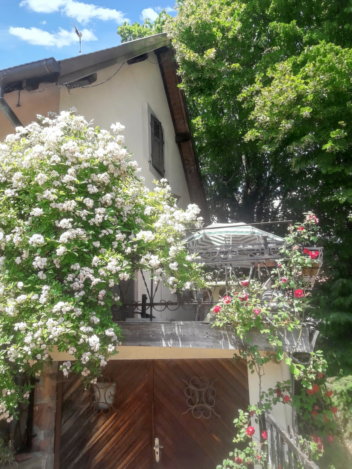 Maison de charme à Wuenheim, jardin clôturé et terrasse, 4 chambres - Photo 12