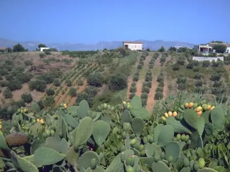 Appartement 2 chambres avec vue mer à Castellammare del Golfo : photo 35