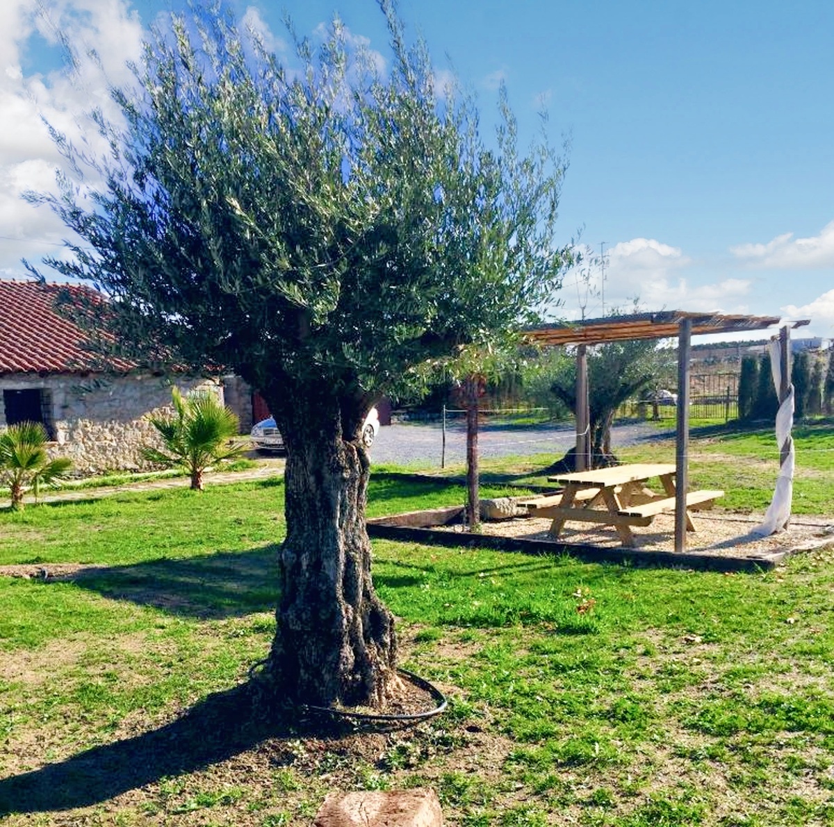Maison 6 pers. avec piscine à Alcaracejos - Photo 15