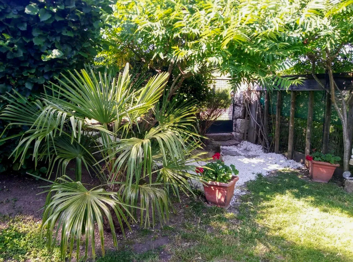 Chalet Molinot piscine privée 6 pers., 2 chambres - Photo 23