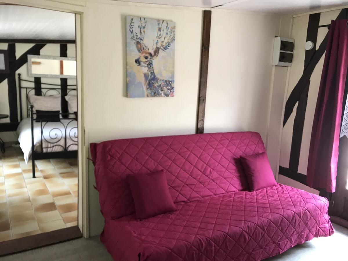 Maison 34m² avec jardin et terrasse à Souvigny-en-Sologne - Photo 3