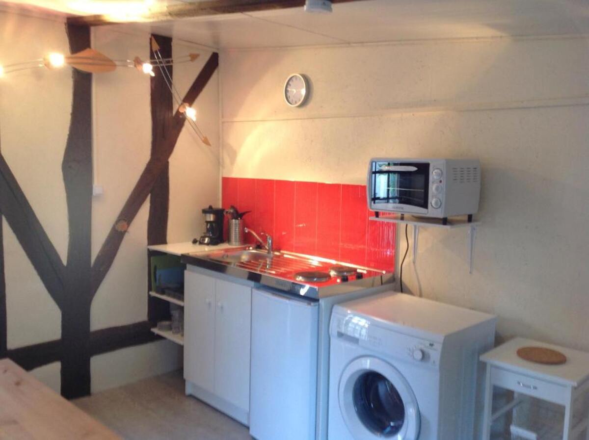 Maison 34m² avec jardin et terrasse à Souvigny-en-Sologne - Photo 6