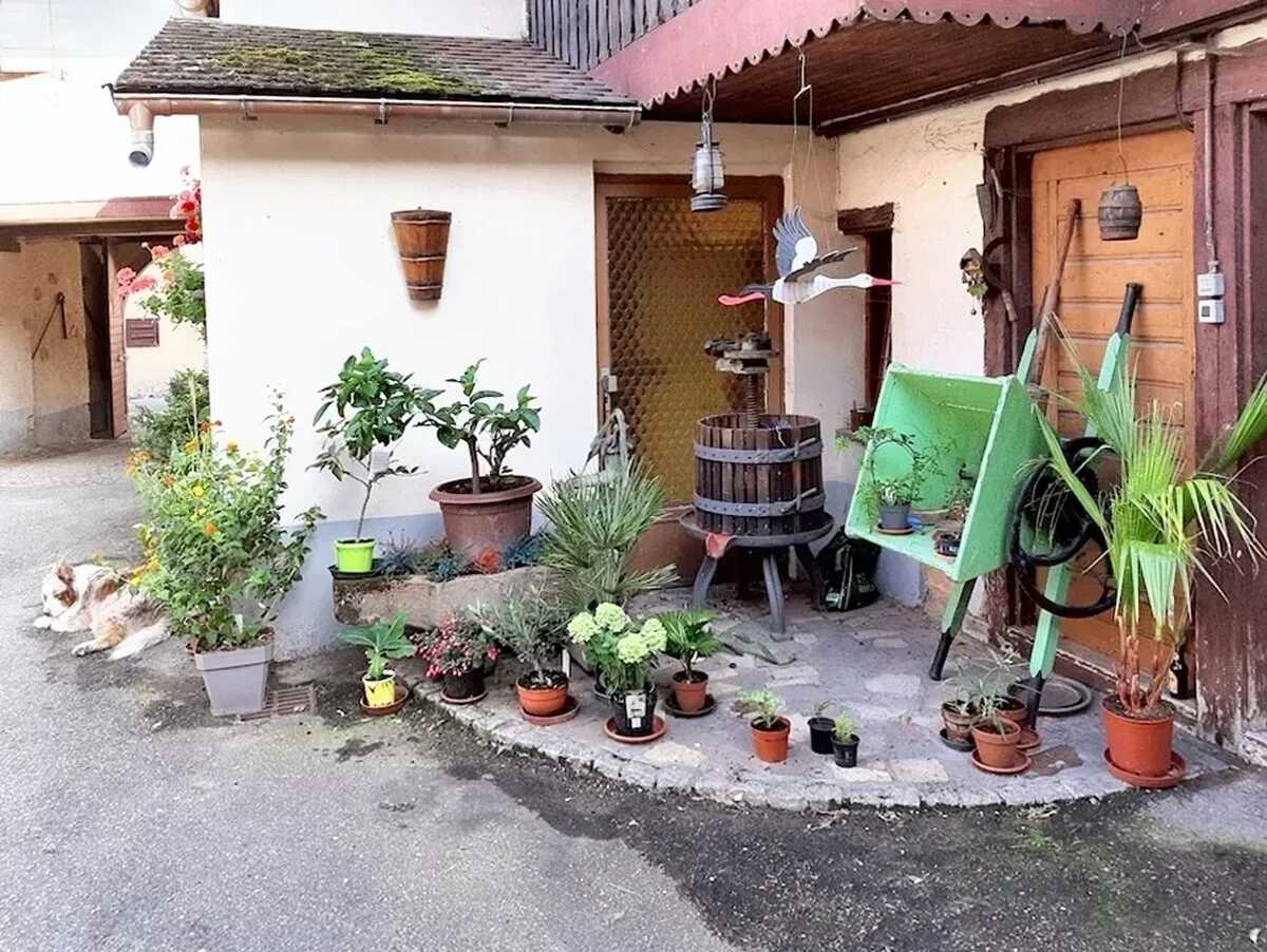 Maison 3 chambres avec jardin clos à Ingersheim - Photo 16