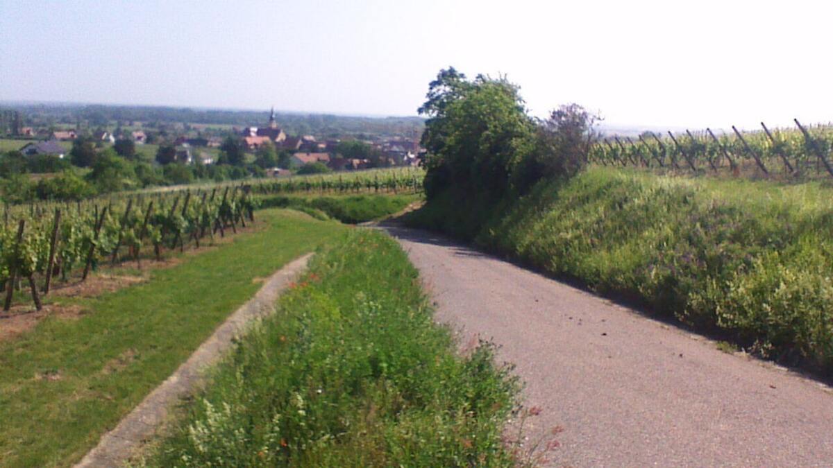 Maison 3 chambres avec jardin clos à Ingersheim - Photo 18