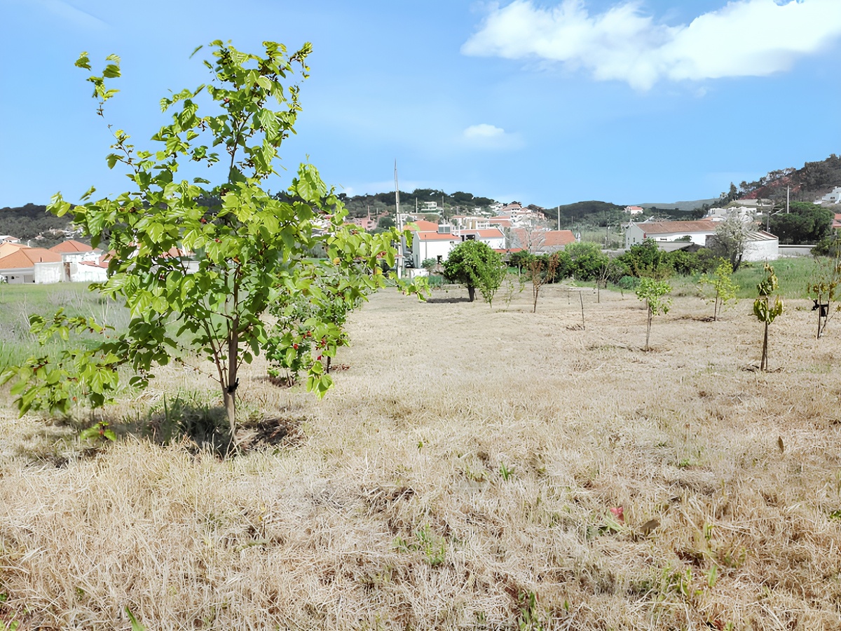 Maison 149 m² jardin clôturé, vue montagne à Messines - Photo 23