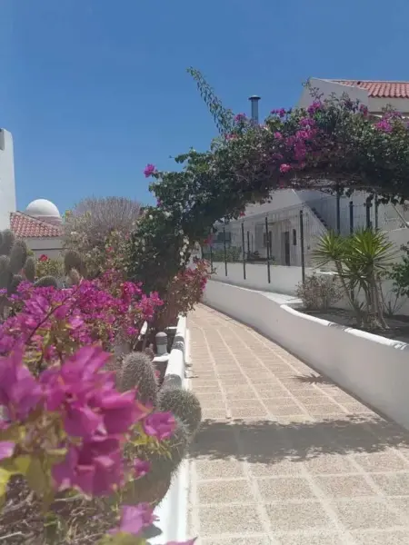 Appartement 130 m² avec piscine partagée, vue mer, Costa Adeje : photo 55