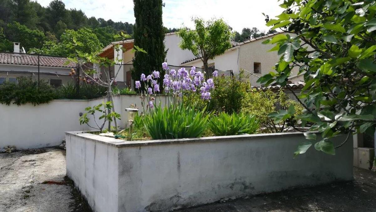 Villa 8 pers. Le Beaucet : piscine privée & terrasse - Photo 22