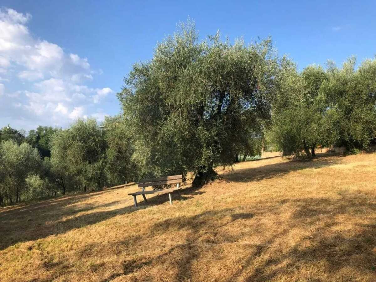 Appartement 80 m² avec balcon et vue sur Sienne, 6 personnes - Photo 45