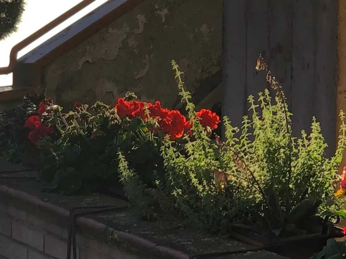 Appartement 80 m² avec balcon et vue sur Sienne, 6 personnes - Photo 46