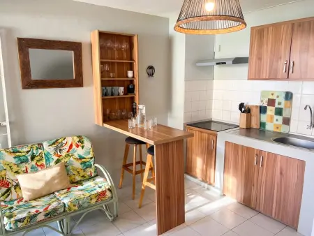Studio de 60 m² avec piscine partagée à Grand Baie, Maurice : photo 6