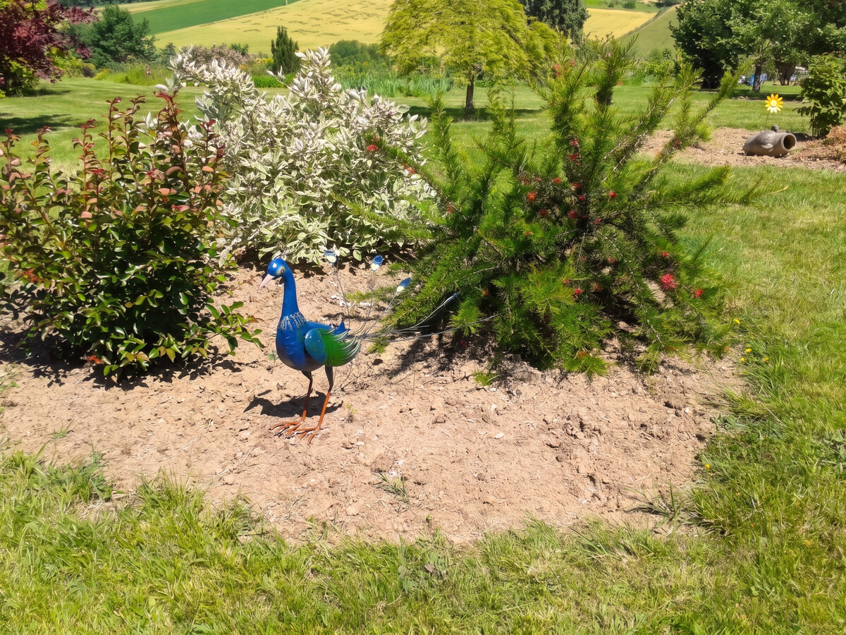 Appartement 40 m² avec piscine privée à Montpezat-de-Quercy - Photo 22