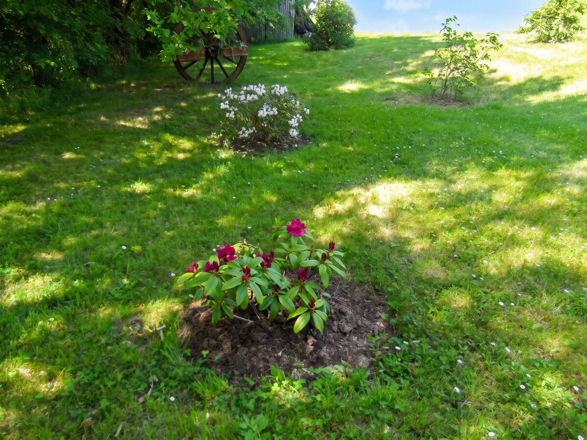Appartement 40 m² avec piscine privée à Montpezat-de-Quercy - Photo 23