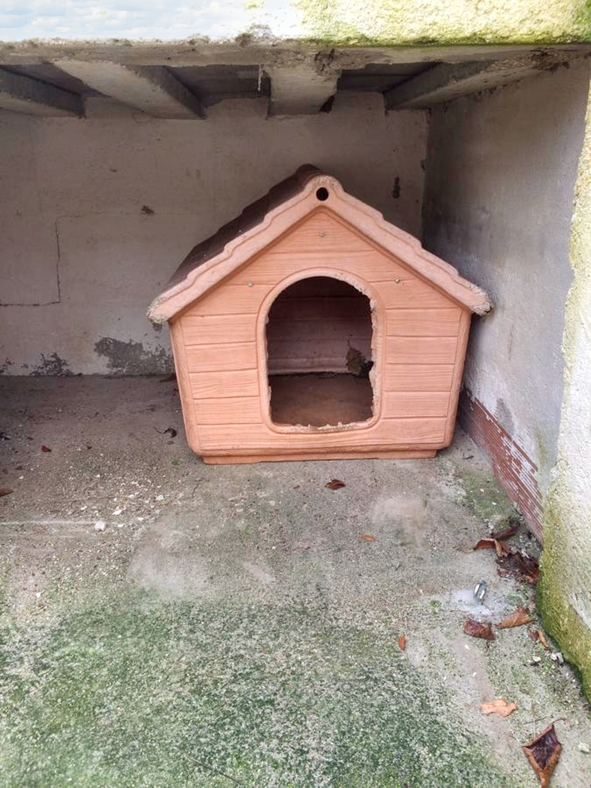 Appartement 5 pers. avec terrasse et jardin à Gioia del Colle - Photo 31