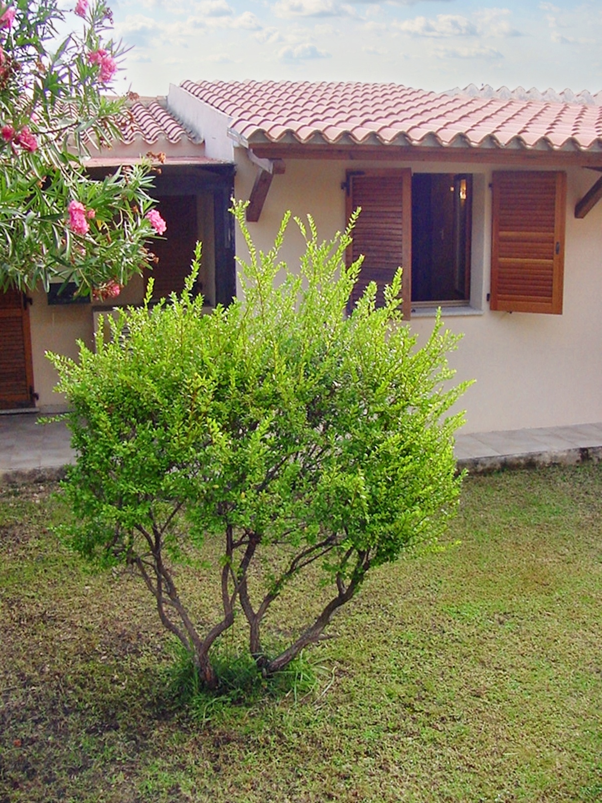 Maison 40 m² avec terrasse & jardin - Loiri Porto San Paolo - Photo 1