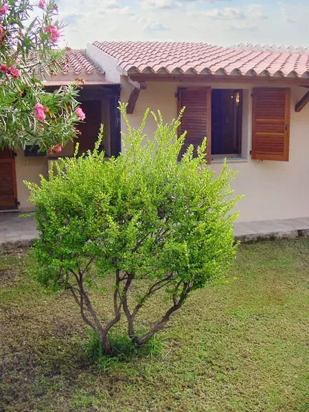 Location maison à Loiri Porto San Paolo