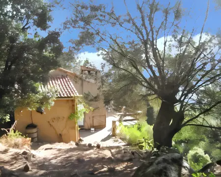 Maison charmante avec vue sur la mer, Olmeto + Cheminée - Photo 9