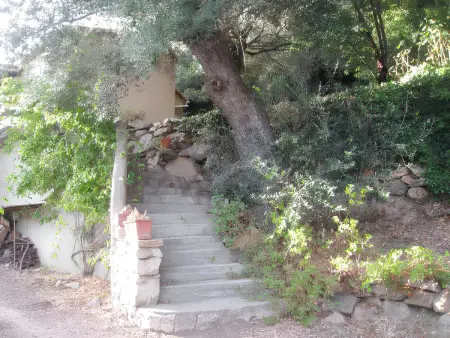 Maison charmante avec vue sur la mer, Olmeto + Cheminée - Photo 10