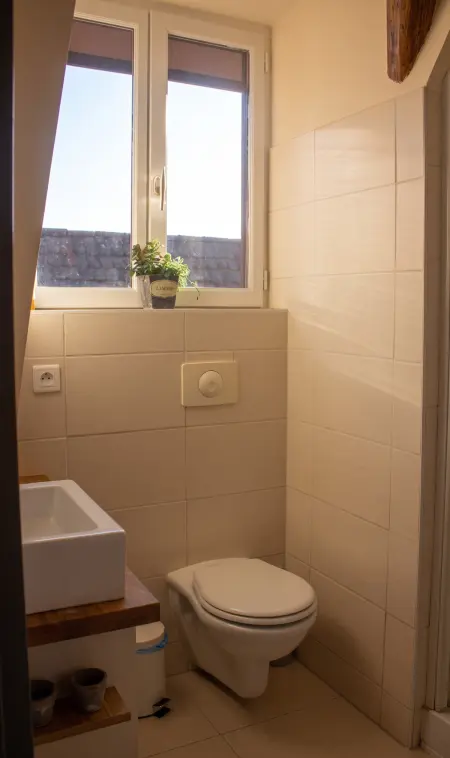 Appartement avec cheminée et terrasse à Eguisheim, 110 m², 8 personnes : photo 12