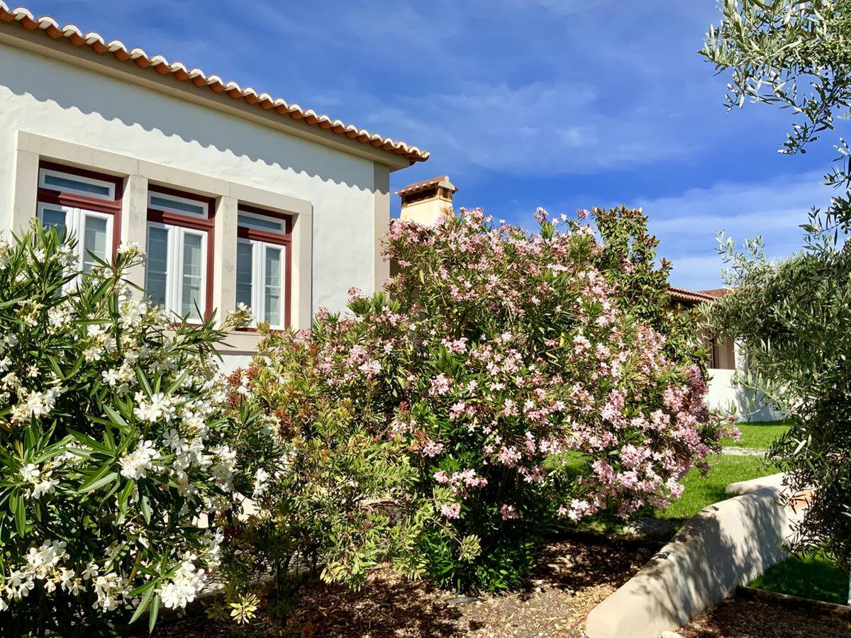 Villa 3 chambres avec piscine et vue montagne - Photo 11