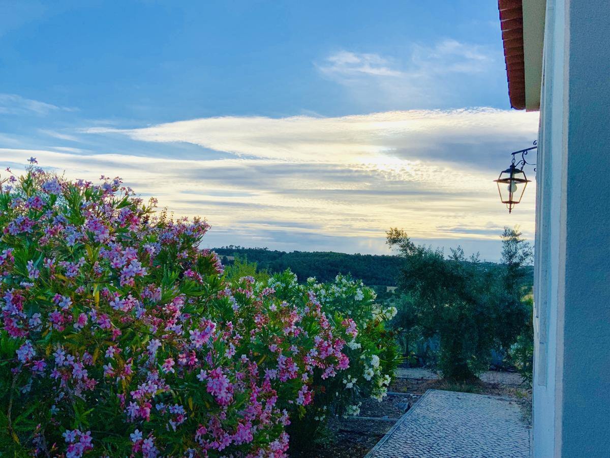 Villa 3 chambres avec piscine et vue montagne - Photo 23