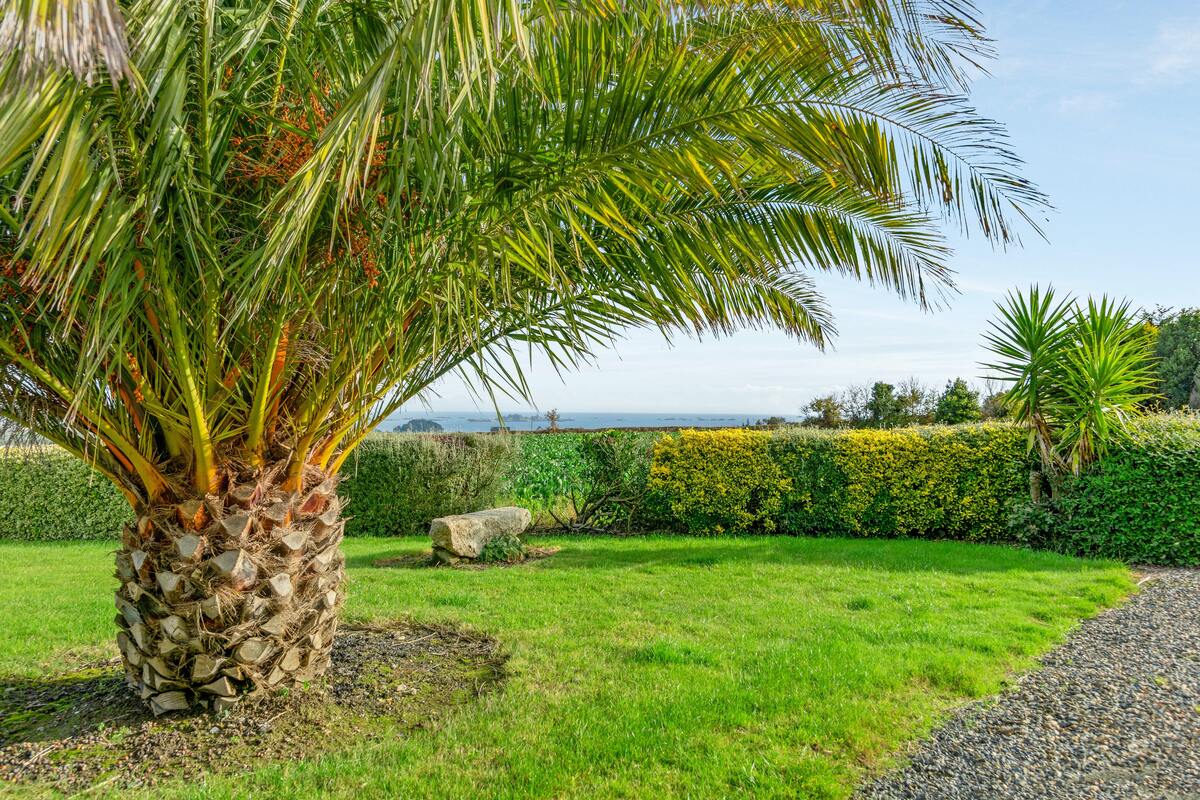 Maison 4 pers. vue mer à Paimpol, terrasse & jardin - Photo 10