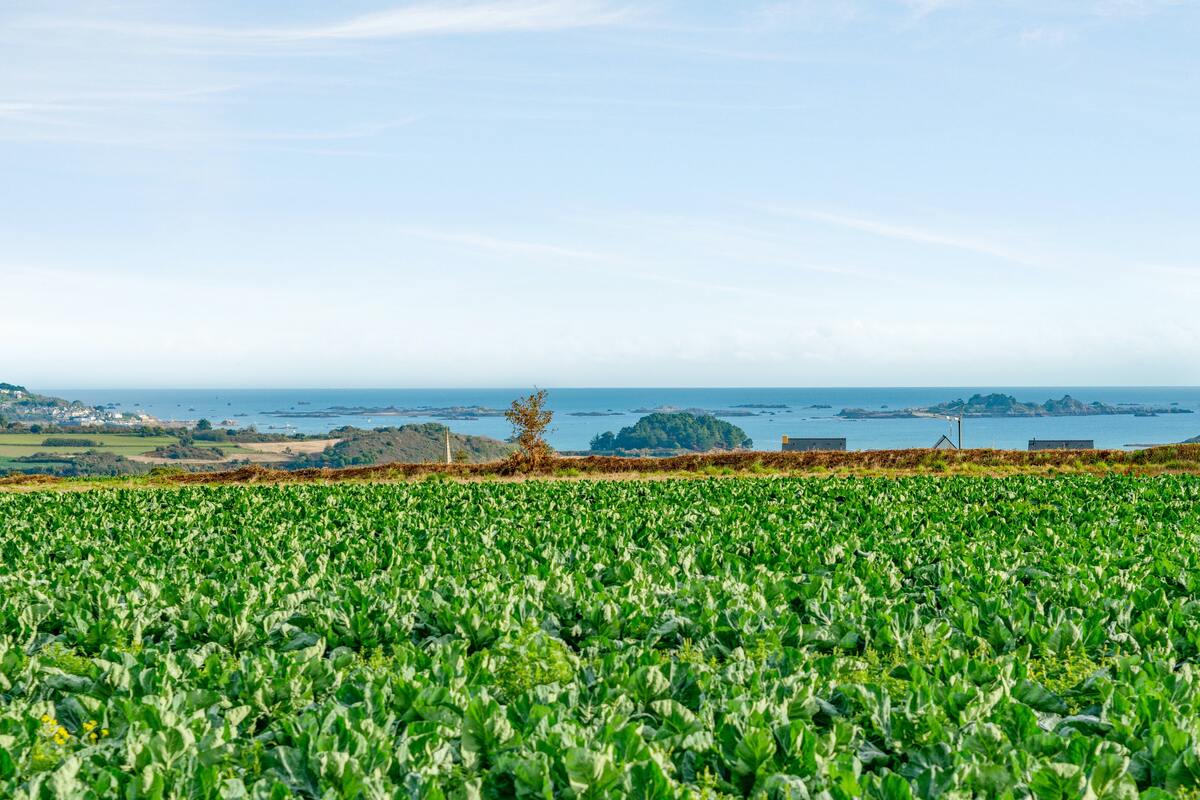 Maison 4 pers. vue mer à Paimpol, terrasse & jardin - Photo 19