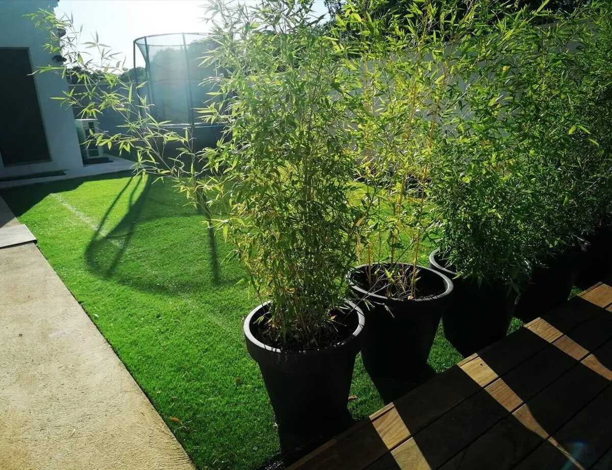 Villa spacieuse et élégante en campagne à Fontvieille offrant sauna - Photo 20