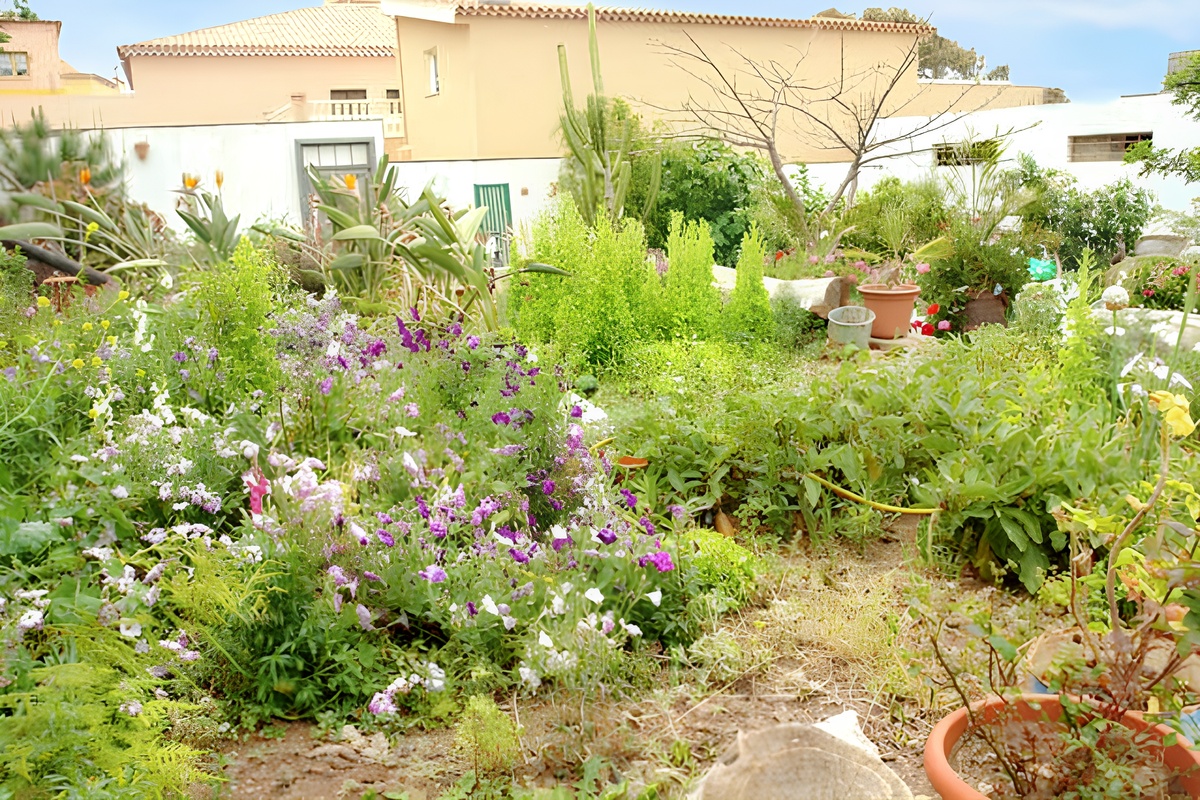 Maison 60 m² piscine toute l'année à San Cristóbal - Photo 22