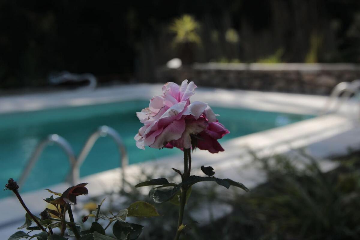 Studio à la ferme avec piscine à Marco de Canaveses - Photo 9