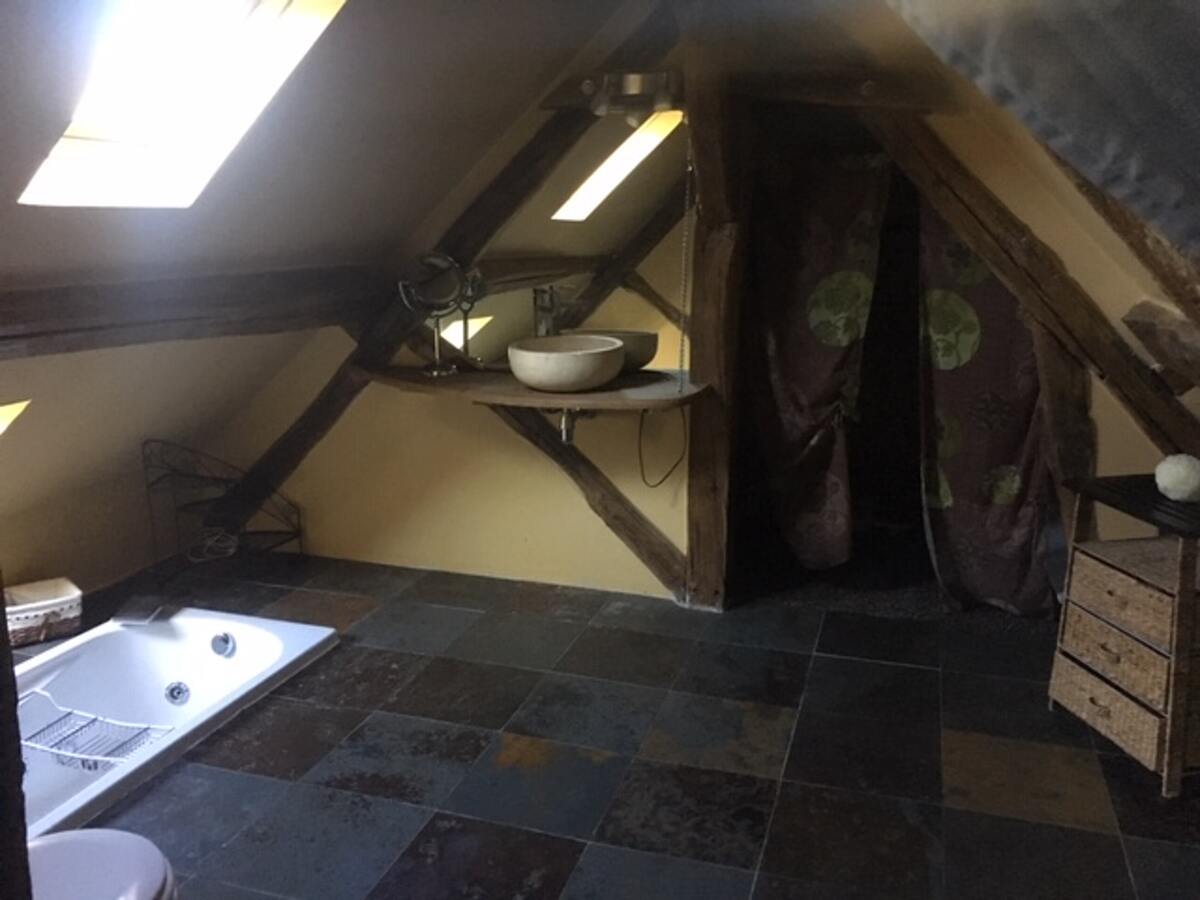 Maison 370 m² avec jacuzzi pour 15 personnes à Saint-Georges-sur-Baulche - Photo 6