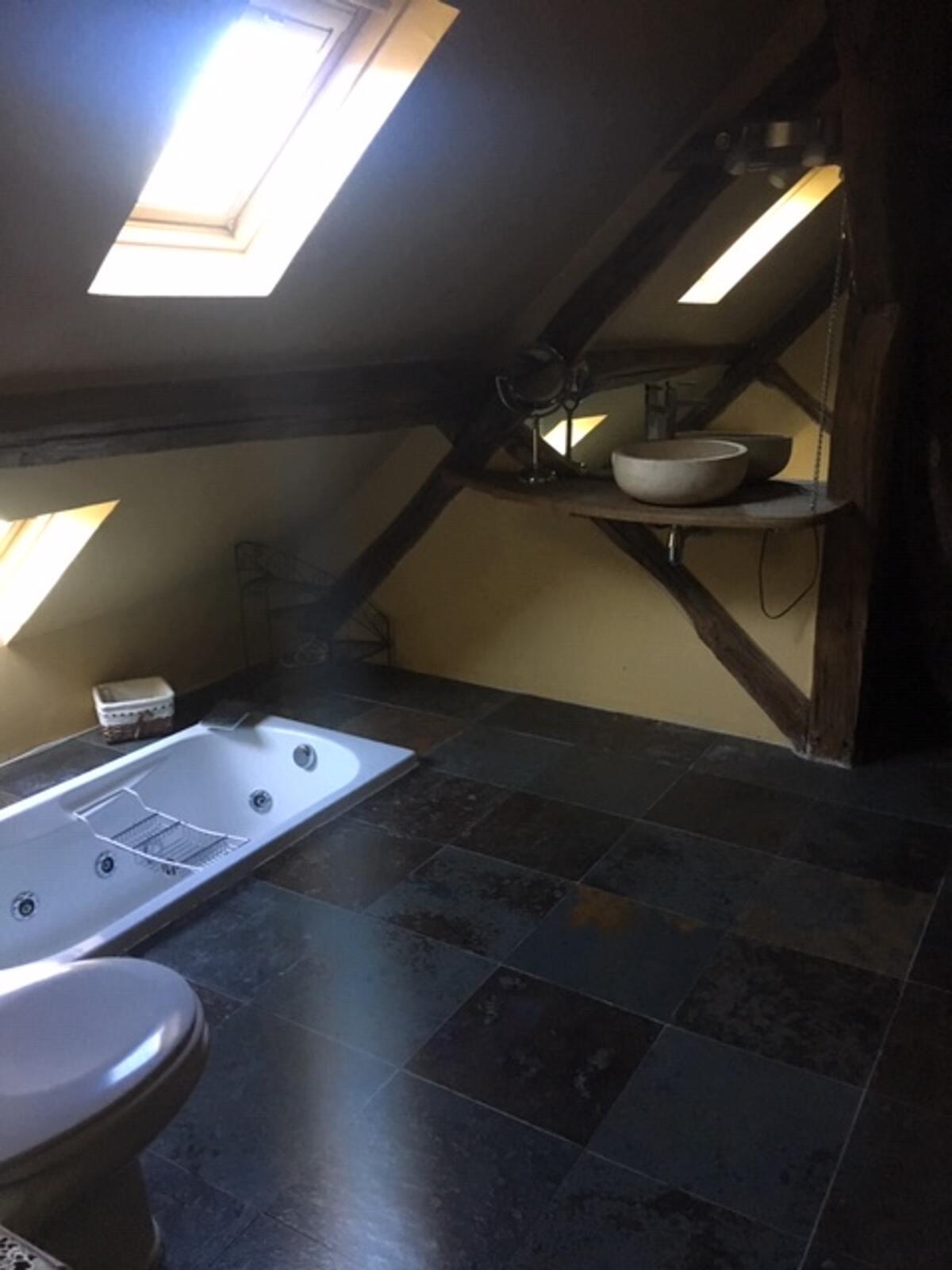 Maison 370 m² avec jacuzzi pour 15 personnes à Saint-Georges-sur-Baulche - Photo 15