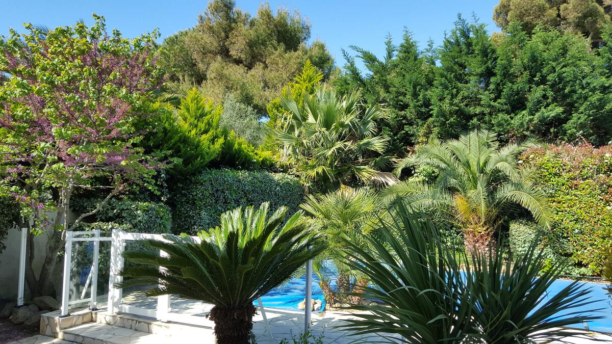 Villa 8 pers., 4 ch., piscine privée à Agde - Photo 15