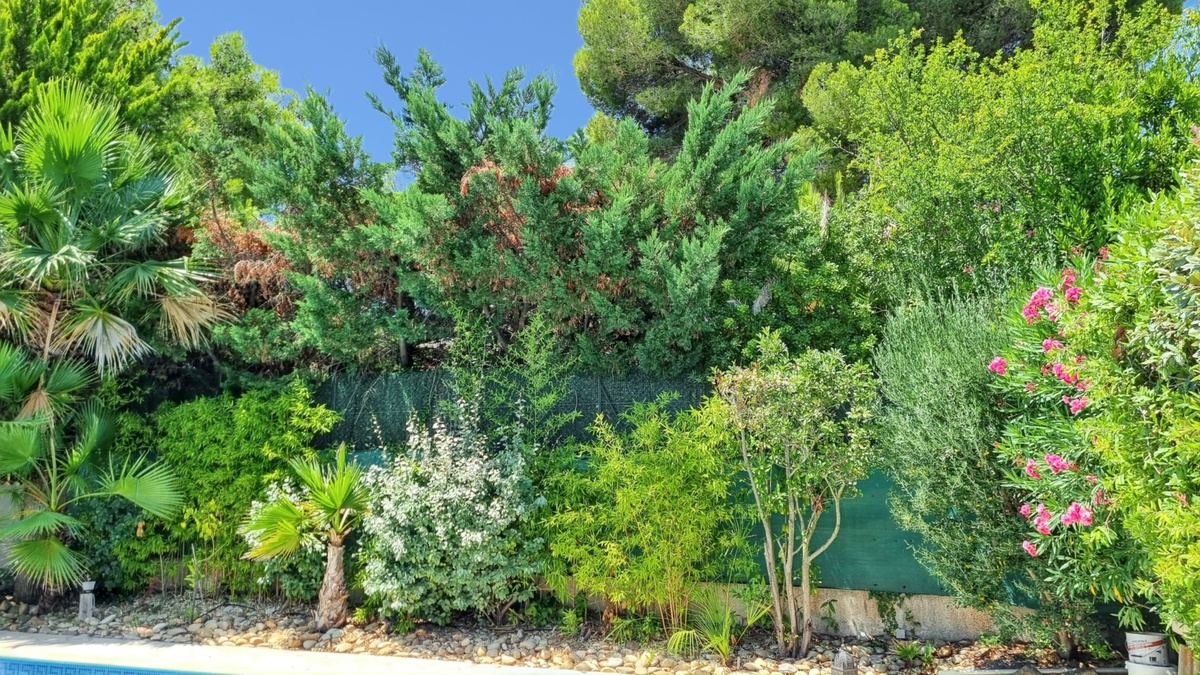 Villa 8 pers., 4 ch., piscine privée à Agde - Photo 31