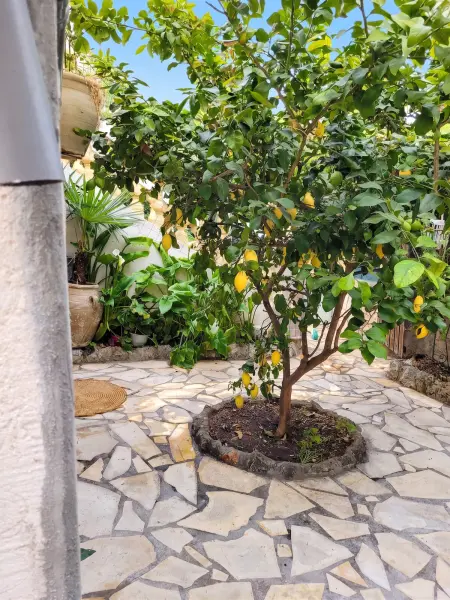 Appartement cosy avec jardin clôturé à La Seyne-sur-Mer : photo 6