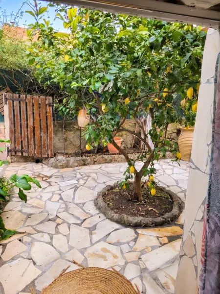 Appartement cosy avec jardin clôturé à La Seyne-sur-Mer : photo 10