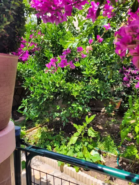 Appartement cosy avec jardin clôturé à La Seyne-sur-Mer : photo 13
